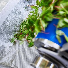 Das Rezeptur-Wiegesystem vom KRONEN-Partner iWEIGH sorgt für eine kontinuierliche, automatisierte Befüllung der Verarbeitungslinie
