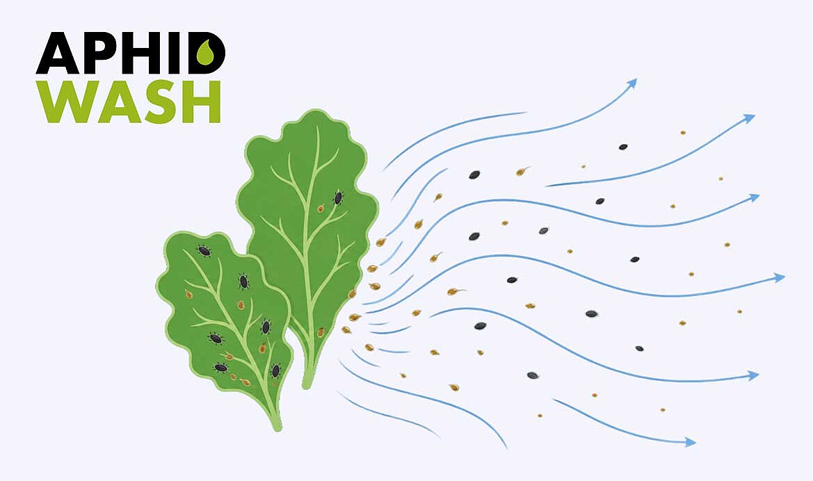 Mieux rincer les salissures collantes avec AphidWash