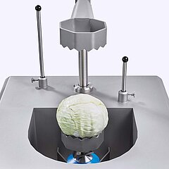 With the cabbage stem corer KSB-2 from KRONEN, both the coring depth and tool stroke can be adapted optimally to the size of the cabbage.