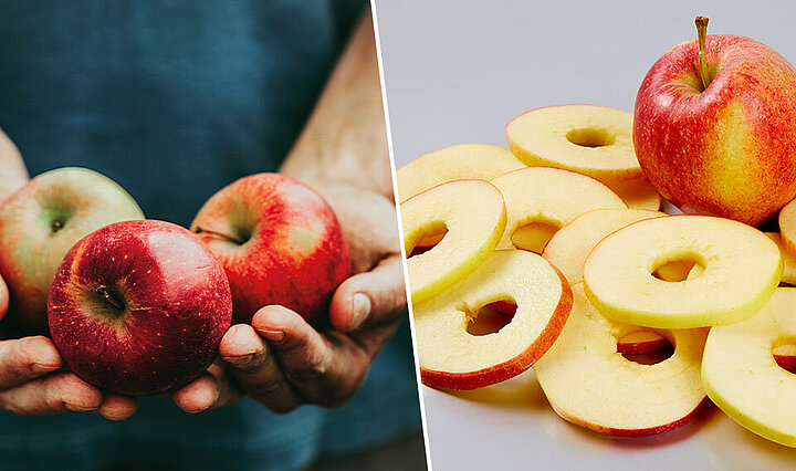 Chaînes de transformation KRONEN pour les fruits