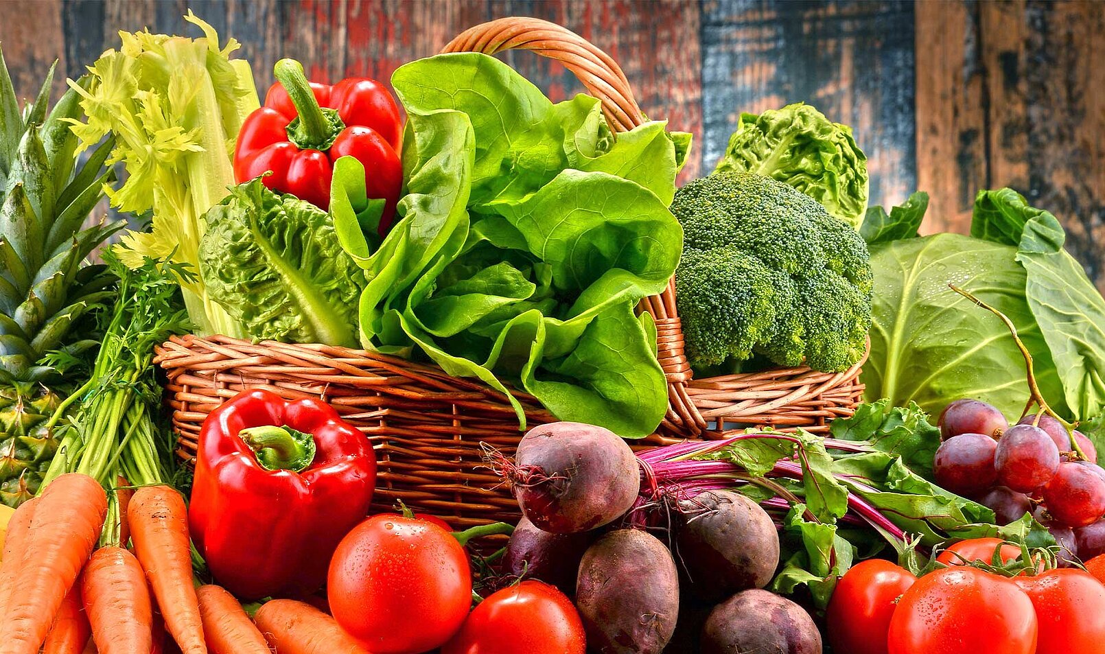 Tecnología alimentaria de KRONEN: máquinas y líneas para procesar lechugas, vegetales, hierbas y frutas