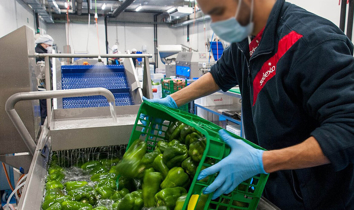 Bell peppers are treated in the KRONEN DECONWA Prep in the processing center in Madrid
