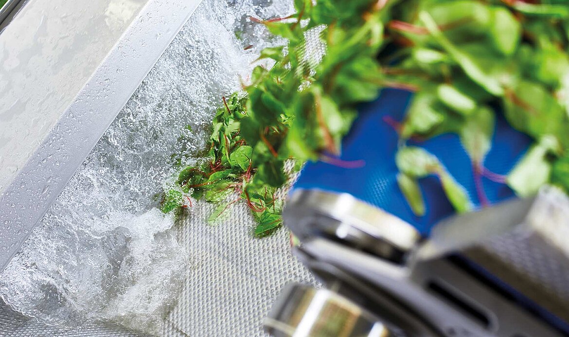 KRONEN GmbH: innovative food processing machines and lines