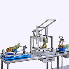 Die Verarbeitungslinie für Ananas besteht aus dem Manuellen Ananasköpfer, der Stanzmaschine HGW und dem Ananas-Stückeschneider MPC 100.