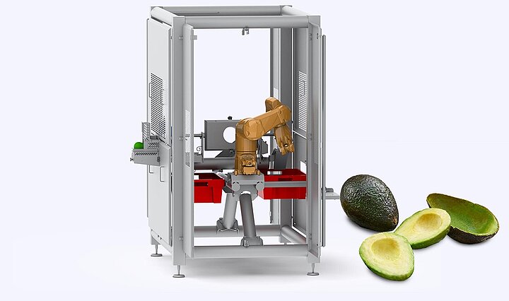 Research project for the processing of avocados with the aid of robots