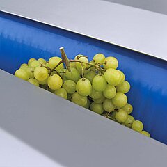 La desgranadora de uva GDM 35 de KRONEN cuenta con un ancho de espacio ajustable para los diferentes tamaños de las frutas.