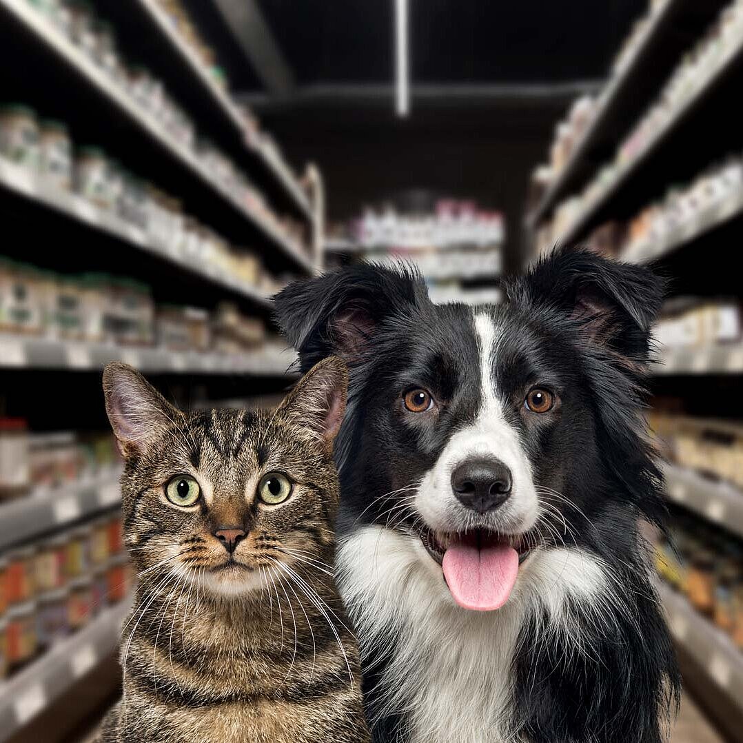 KRONEN Nahrungsmitteltechnik: Einzellösungen zur kontinuierlichen Verarbeitung von Tiernahrung/Tierfutter und Tierzahnpflegeprodukten