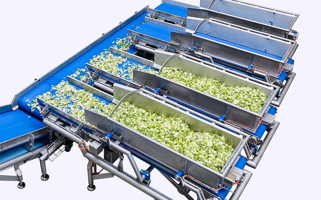 Processing line: integrated dynamic weighing recipe system Flow Weigh Belt system from KRONEN’s partner, Synergy System, e.g. for salad, vegetables and fruit