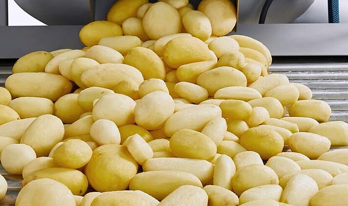 Die Qualität geschälter Kartoffeln kann auf dem Rollensortiertisch RVT geprüft werden.