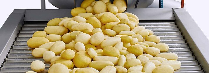 The quality of peeled potatoes can be checked on the roller sorting table RVT.