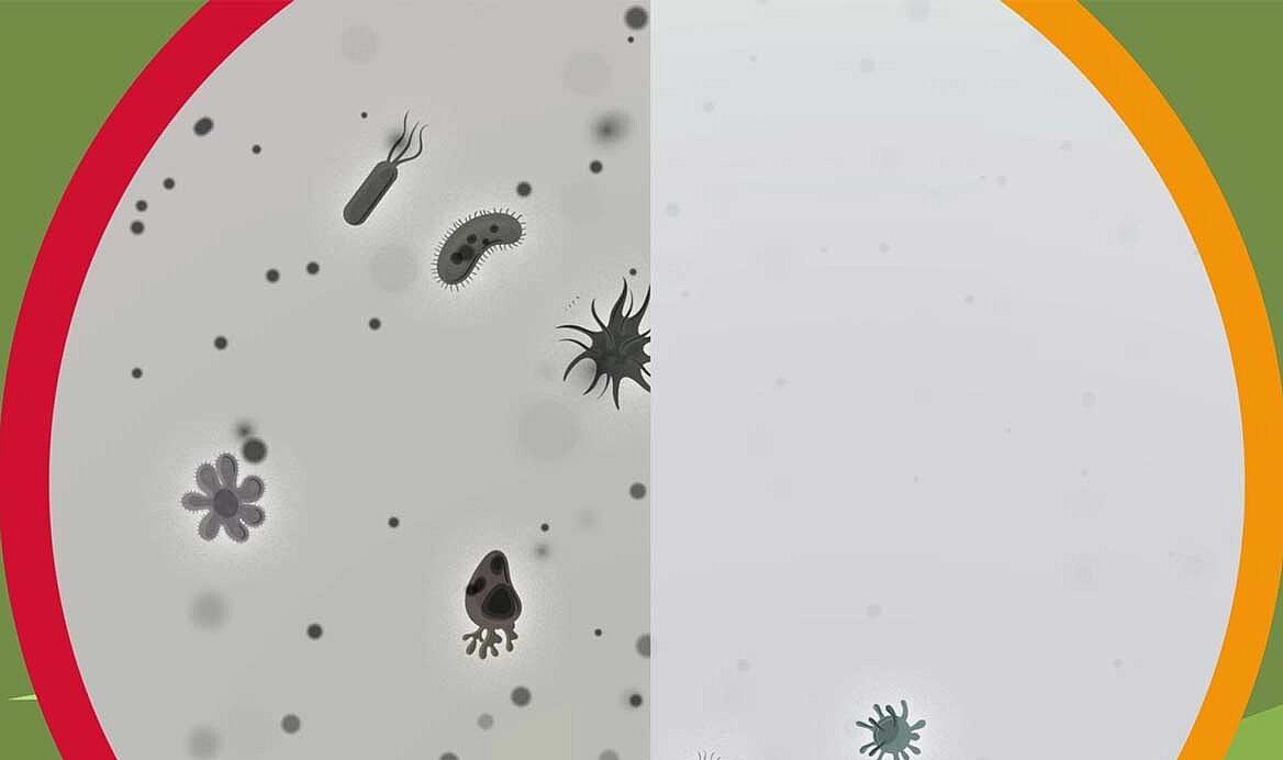 KRONEN Citrocide: Réduction efficace de la charge microbienne et prévention de la contamination croisée lors du lavage des fruits, légumes et salades