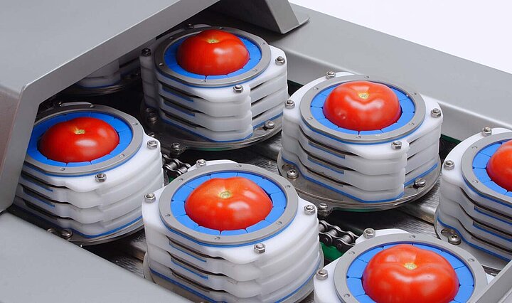 In the product holders of the TONA Rapid, tomatoes are transported aligned to the cutting process.