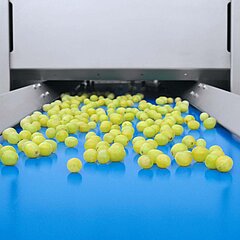 Bei der Traubenentstielmaschine GDM 35 von KRONEN ist das Förderband standardmäßig integriert, die vereinzelten Beeren werden schonend und sanft zur Weiterverarbeitung transportiert.