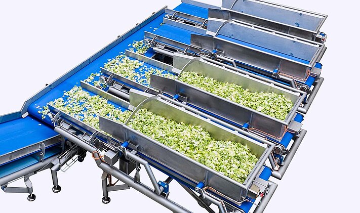 Processing line: integrated dynamic weighing recipe system Flow Weigh Belt system from KRONEN’s partner, Synergy System, e.g. for salad, vegetables and fruit