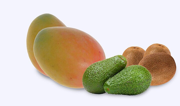 Projet de recherche VitERz.fruit pour déterminer l'état de maturité des fruits entiers