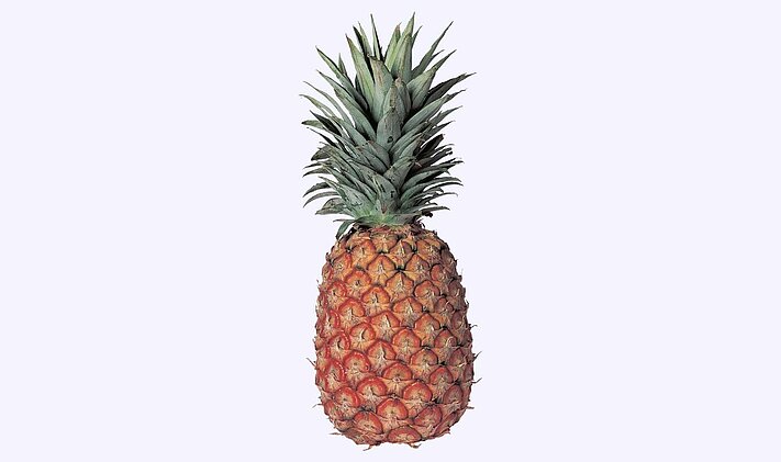 With the manual pineapple top cutter MAK from KRONEN, the top and tail of the fresh pineapple are cut off evenly and in no time.