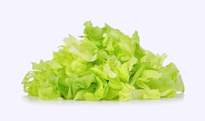https://www.kronen.eu/fileadmin/_processed_/c/1/csm_KRONEN-food-processing-technology-cut-salad-lettuce_shutterstock_41043e7a27.jpg