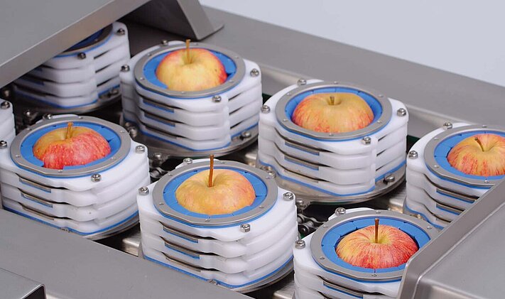 Die Produktaufnahmen der Tona Rapid sorgen dafür, dass die Äpfel ausgerichtet bis zum Schneideprozess transportiert werden.