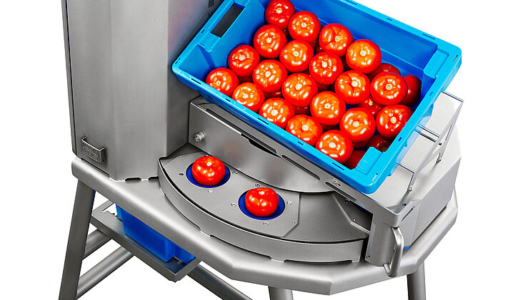 Los tomates se colocan orientados en los portaproductos de la Tona V y se transportan hasta el proceso de corte.