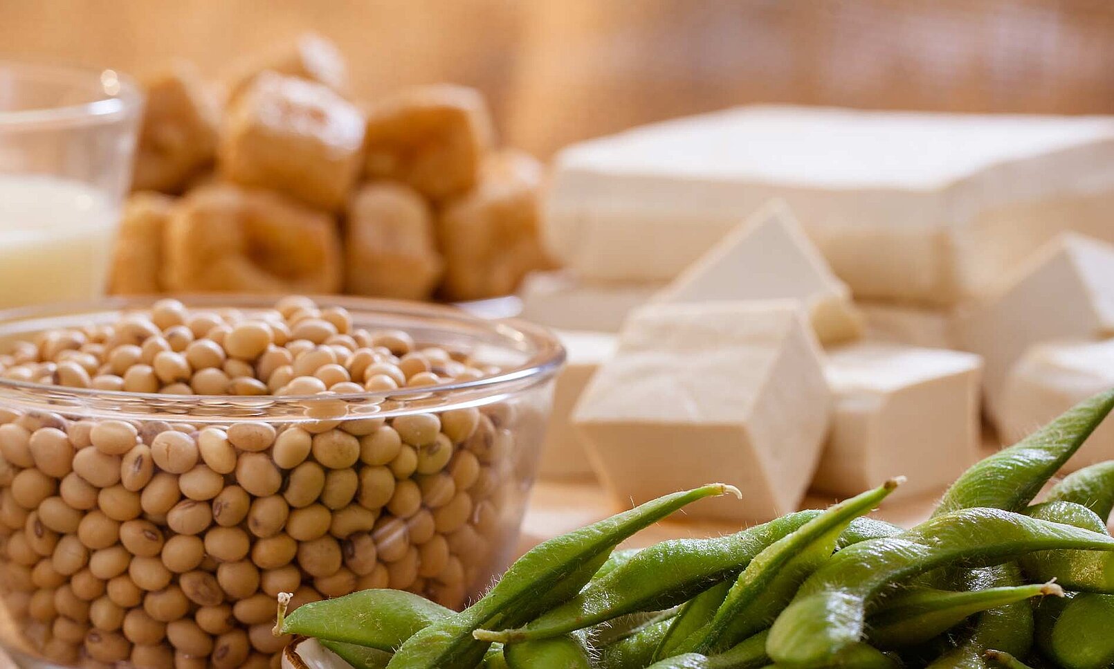 Tecnología alimentaria de KRONEN: preparar productos veganos, por ejemplo, cortar o deshilachar placas de proteína de soja y guisantes