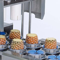 Speziell an größere Produkte wie Ananas angepasste Produktaufnahmen sorgen für eine optimale Ausrichtung beim Schneideprozess in der Tona Rapid XL.