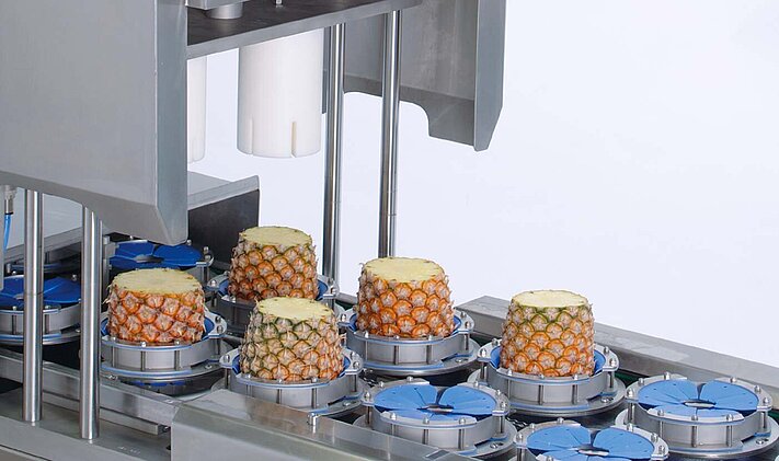 Speziell an größere Produkte wie Ananas angepasste Produktaufnahmen sorgen für eine optimale Ausrichtung beim Schneideprozess in der Tona Rapid XL.
