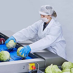 Une seule personne est nécessaire pour alimenter le Multicorer en produits, comme des laitues iceberg.