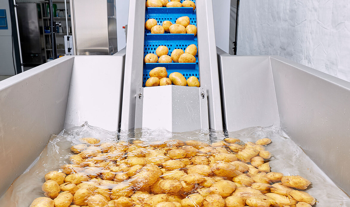 Potato processing with the KRONEN line