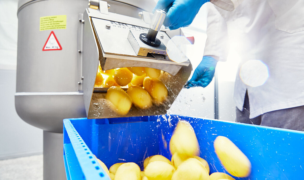 Transformation des pommes de terre avec le peleur à pommes de terre PL 40K