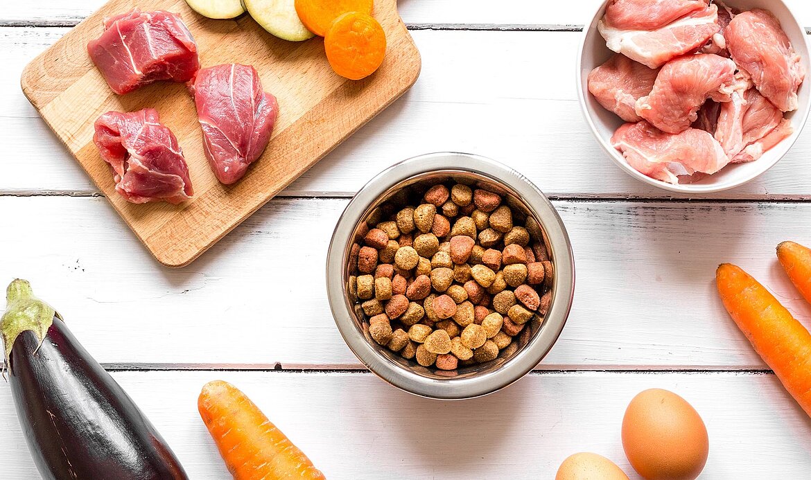 Tecnología alimentaria de KRONEN: soluciones individuales para el procesamiento continuo de alimentos para mascotas y productos para el cuidado dental de los animales