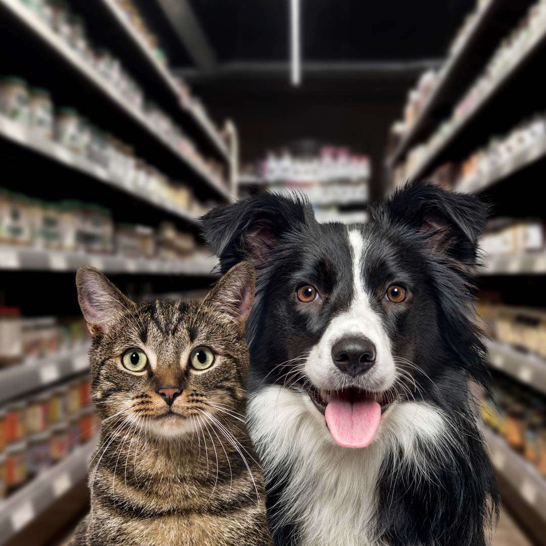 KRONEN food technology: individual solutions for the continual processing of pet food and pet tooth care products